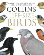 Collins Life-Size Birds di Paul Sterry, Rob Read edito da HarperCollins Publishers