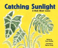 Catching Sunlight: A Book about Leaves di Susan Blackaby edito da Picture Window Books