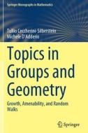 Topics in Groups and Geometry di Tullio Ceccherini-Silberstein, Michele D'Adderio edito da Springer International Publishing