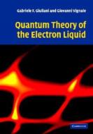 Quantum Theory Of The Electron Liquid di Gabriele Giuliani, G. Vignale edito da Cambridge University Press