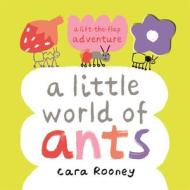A Little World Of Ants di Cara Rooney edito da Pan Macmillan