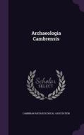 Archaeologia Cambrensis di Cambrian Archaeological Association edito da Palala Press