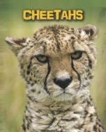 Cheetahs di Charlotte Guillain edito da Heinemann Library