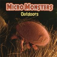 Micro Monsters: Outdoors di Sabrina Crewe edito da Hachette Children's Group