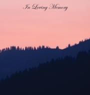 In Loving Memory Funeral Guest Book, Wake, Loss, Celebration of Life, Memorial Service, Funeral Home, Church, Condolence di Lollys Publishing edito da Lollys Publishing