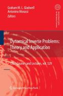 Dynamical Inverse Problems: Theory and Application edito da Springer Vienna
