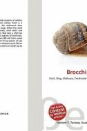 Brocchinia Exigua edito da Betascript Publishing