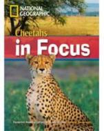 Cheetahs In Focus di Rob Waring, National Geographic edito da Cengage Learning, Inc