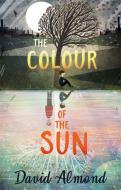 The Colour of the Sun di David Almond edito da Hachette Children's  Book