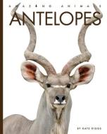 Antelopes di Kate Riggs edito da CREATIVE ED & PAPERBACKS