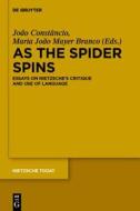 As the Spider Spins: Essays on Nietzsche S Critique and Use of Language edito da Walter de Gruyter