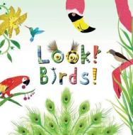 Look! Birds! di Stephanie Calmenson edito da LITTLE BEE BOOKS