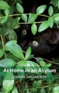 At Home In An Asylum di Jolanda Van Leersum edito da Publishamerica