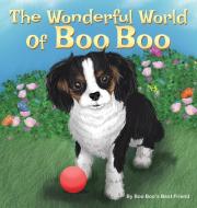 The Wonderful World Of Boo Boo di Boo Boo's Best Friend edito da Total Publishing And Media