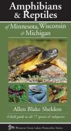 Amphibians & Reptiles of Minnesota, Wisconsin & Michigan: A Field Guide to All 77 Species & Subspecies di Allen Blake Sheldon edito da KOLLATH STENSAAS PUB