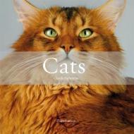 Cats: The Most Beautiful Cats/Cat Tales di Claude Pacheteau edito da FLAMMARION