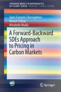 A Forward-backward Sdes Approach To Pricing In Carbon Markets di Jean-Francois Chassagneux, Hinesh Chotai, Mirabelle Muuls edito da Springer International Publishing Ag