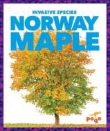 Norway Maple di Alicia Z. Klepeis edito da JUMP
