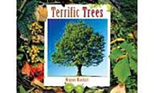 Rigby Literacy: Student Reader Grade 2 (Level 12) Terrific Trees di Rigby edito da Rigby