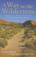Way in the Wilderness: A Commentary on the Rule of Benedict for the Physically and Spiritually Imprisoned di James Bishop edito da BLOOMSBURY ACADEMIC US