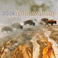 Yellowstone Calendar edito da Sweetgrass Books