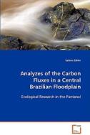 Analyzes of the Carbon Fluxes in a Central BrazilianFloodplain di Sibler Sabine edito da VDM Verlag