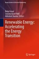 Renewable Energy: Accelerating the Energy Transition edito da SPRINGER NATURE