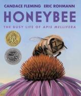Honeybee: The Busy Life of APIs Mellifera di Candace Fleming edito da NEAL PORTER BOOKS