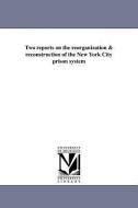 Two Reports on the Reorganization & Reconstruction of the New York City Prison System di Hastings H. Hart edito da UNIV OF MICHIGAN PR