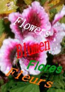 Flowers Blumen Fleurs Flores di Hendrik Jakobsen edito da Books on Demand