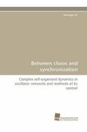Between chaos and synchronization di Santiago Gil edito da Südwestdeutscher Verlag