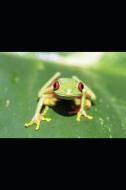 Red Eyed Frog: Plain Lined Notebook Paper, 125 Pages of 6 X 9 Inch Note Paper, Soft Cover, Portable Journal di M. O. B. Publishing &. Design edito da INDEPENDENTLY PUBLISHED