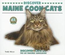 Discover Maine Coon Cats di Trudy Micco edito da Enslow Elementary