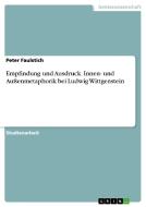 Empfindung und Ausdruck. Innen- und Außenmetaphorik bei Ludwig Wittgenstein di Peter Faulstich edito da GRIN Publishing