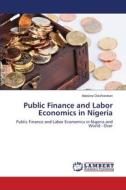 Public Finance and Labor Economics in Nigeria di Adesina Odufowokan edito da LAP Lambert Academic Publishing