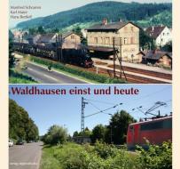 Waldhausen einst und heute di Manfred Schramm, Karl Maier, Hans Bertleff edito da Regionalkultur Verlag