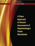A Class Approach to Hazard Assessment of Organohalogen Flame Retardants di National Academies Of Sciences Engineeri, Division On Earth And Life Studies, Board On Environmental Studies And Toxic edito da NATL ACADEMY PR