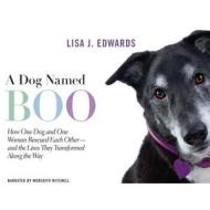 A Dog Named Boo: How One Dog and One Woman Rescued Each Other and the Lives They Transformed Along the Way di Lisa Edwards edito da Audiogo