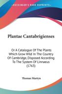 Plantae Cantabrigienses: Or a Catalogue of the Plants Which Grow Wild in the Country of Cambridge, Disposed According to the System of Linnaeus di Thomas Martyn edito da Kessinger Publishing