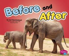 Before and After di Joy Janet Frisch-Schmoll edito da CAPSTONE PR