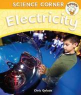 Electricity di Angela Royston edito da Hachette Children\'s Books