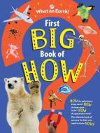 First Big Book of How Things Work di Sally Symes edito da WHAT ON EARTH BOOKS