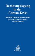 Rechnungslegung in der Corona-Krise di Bernd Kliem, Michael Deubert, Henning Meyer edito da Beck C. H.