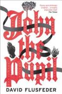 John the Pupil di David Flusfeder edito da HarperCollins Publishers