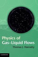 Physics of Gas-Liquid Flows di Thomas J. Hanratty edito da Cambridge University Press