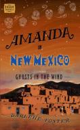 Amanda in New Mexico di Darlene Foster edito da Central Avenue Publishing
