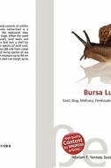 Bursa Luteostoma edito da Betascript Publishing