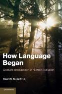 How Language Began di David Mcneill edito da Cambridge University Press