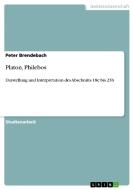 Platon, Philebos di Peter Brendebach edito da Grin Verlag