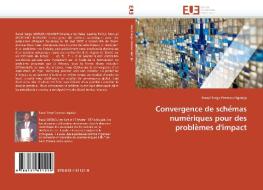 Convergence de sche´mas nume´riques pour des proble`mes d'impact di Raoul Serge Dzonou Nganjip edito da Editions universitaires europeennes EUE